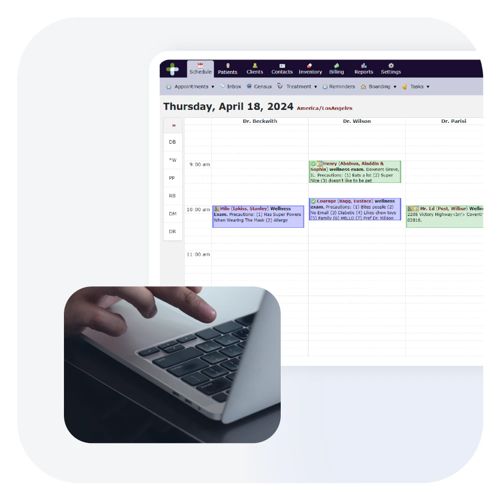 screenshot of DaySmart Vet